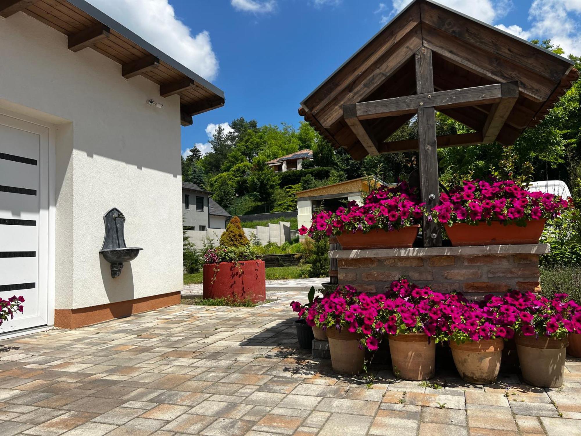 Dreko Panzio & Borbisztro Bed & Breakfast Gyorujbarat Exterior photo